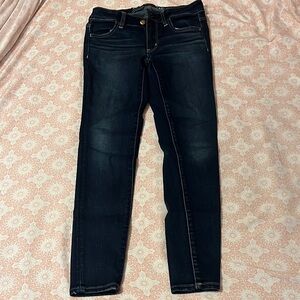 American Eagle Outfitters Blue Skinny Jeans Classic Fit